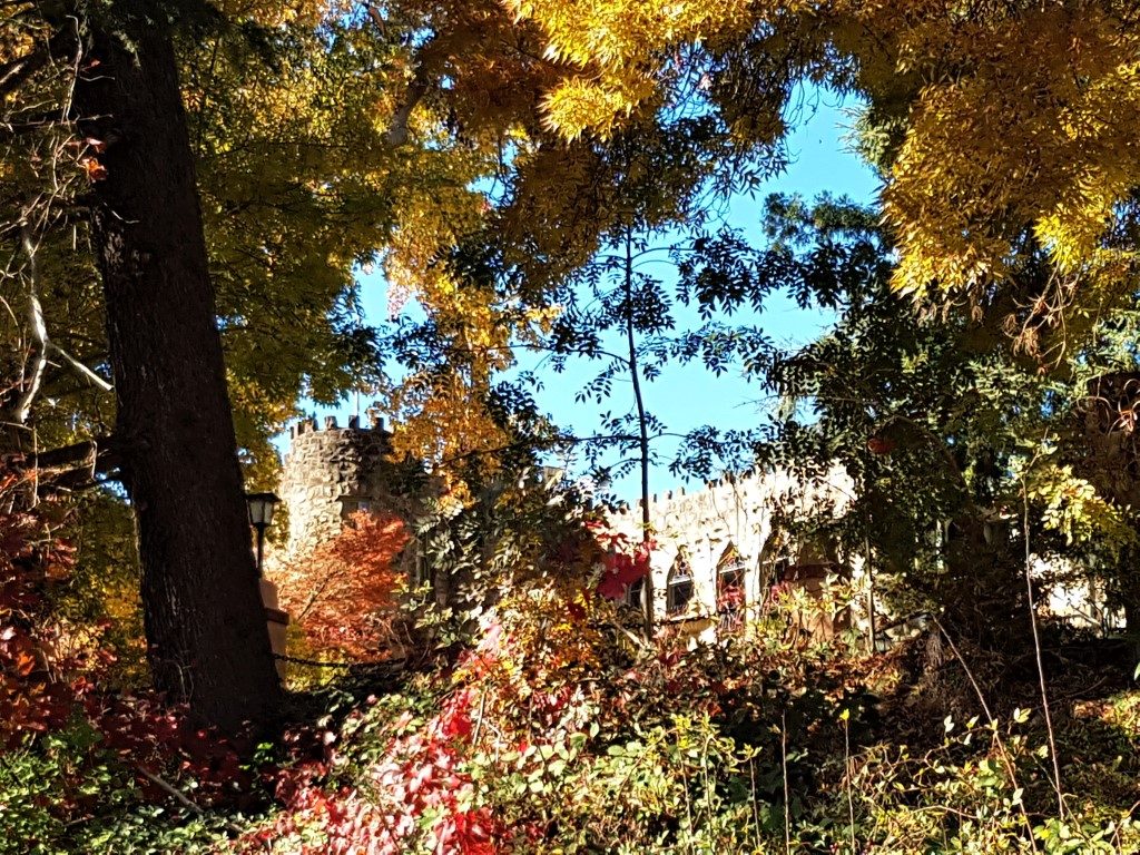 Catching glimpses of Camelot Castle on our Sunday drive