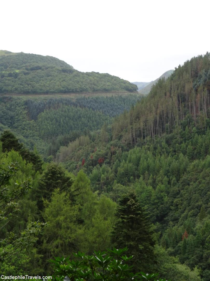 Rheidol Valley