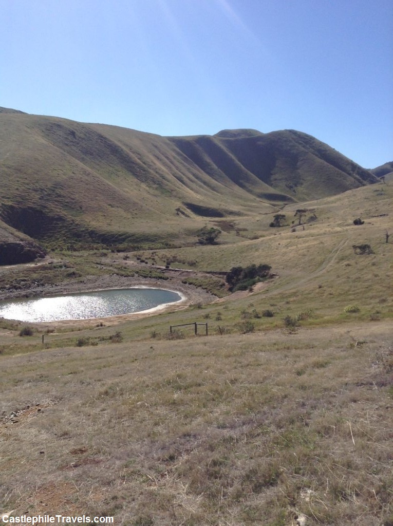 Along with gorgeous sea views, the rolling hills and the dams of the neighbouring farms were pretty in their own right