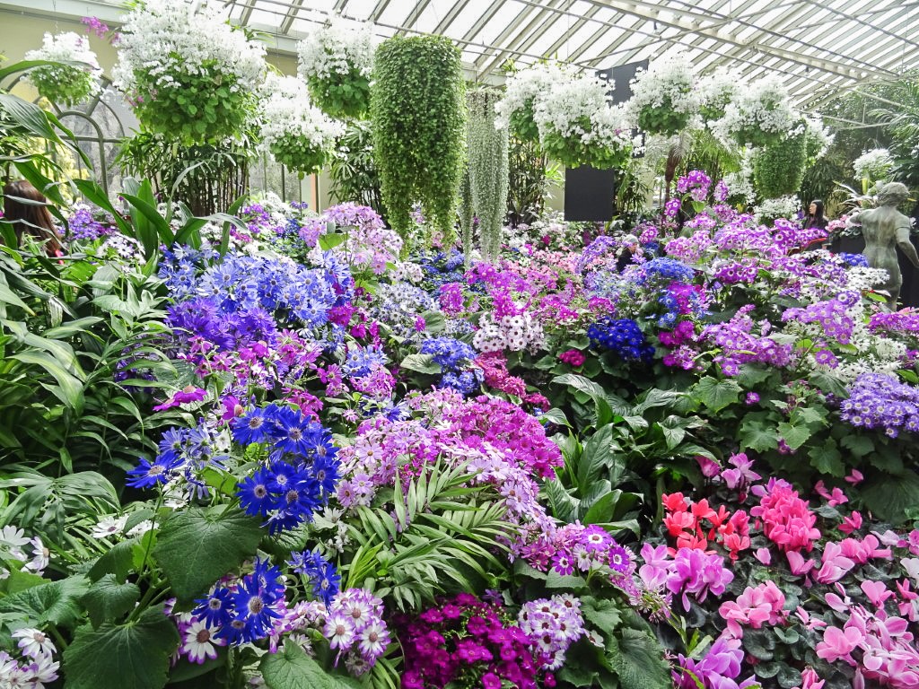 Flower display inside the Fitzroy Gardens Conservatory