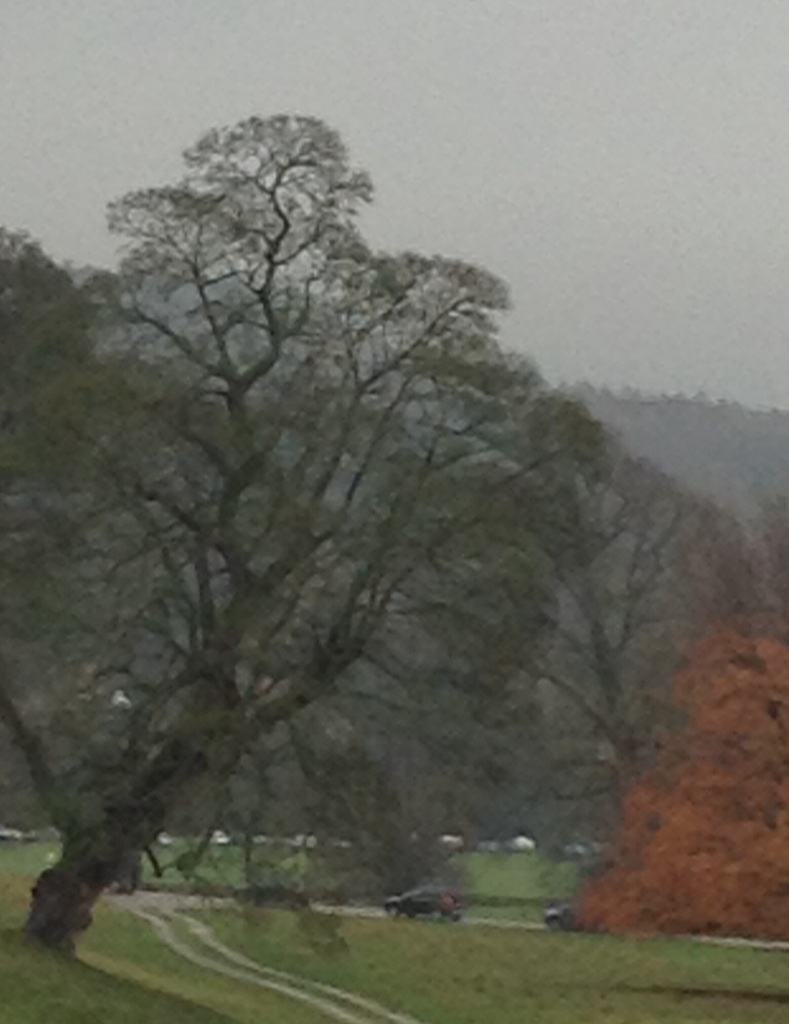 The queue to get in to Chatsworth