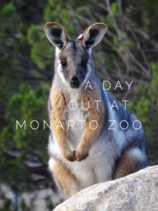 A Day Out At Monarto Zoo