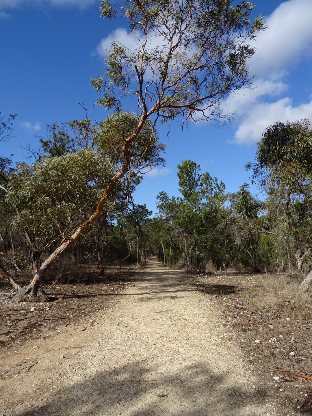 The Ridge Track at Monarto Zoo