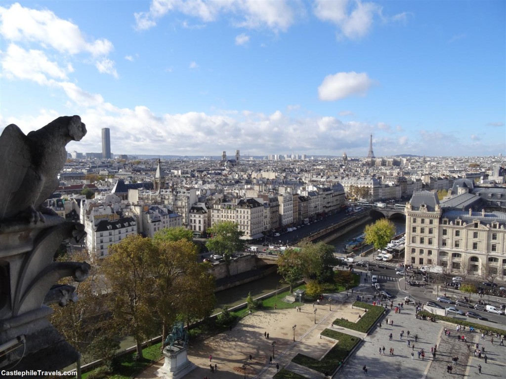 The view over Paris from the towers of Notre Dame