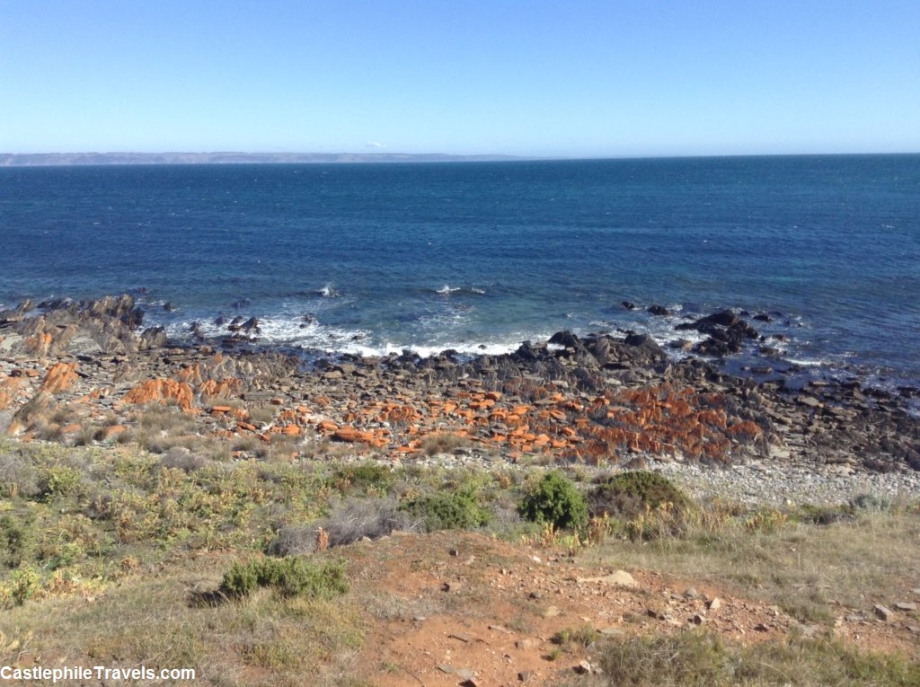 The rugged coastline, with Kangaroo Island hazy in the background