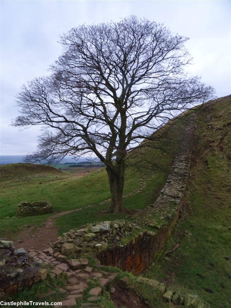 Sycamore Gap