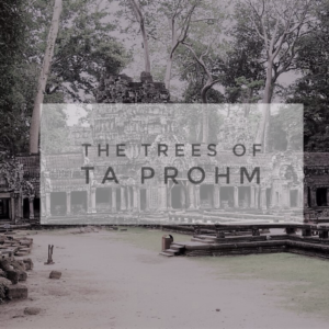 The Trees of Ta Prohm