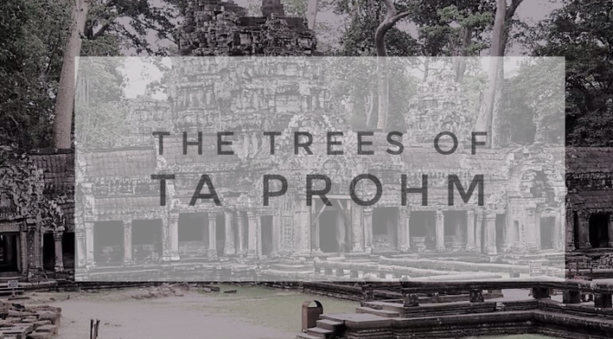 The Trees of Ta Prohm