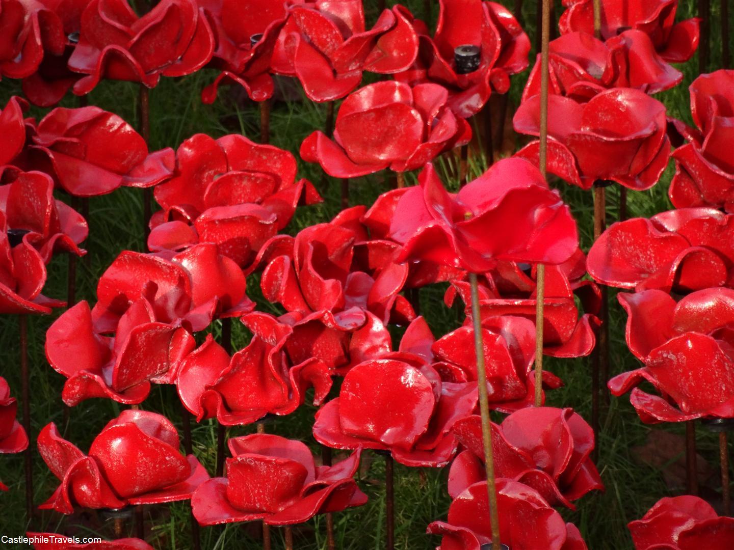 The ceramic poppies in the Tower moat