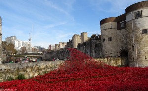 The 'Blood Swept Lands and Seas of Red' art installation at the Tower of London